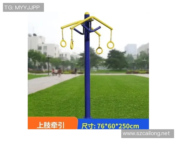 提升健康生活方式的户外健身器材套装全面解析与使用指南